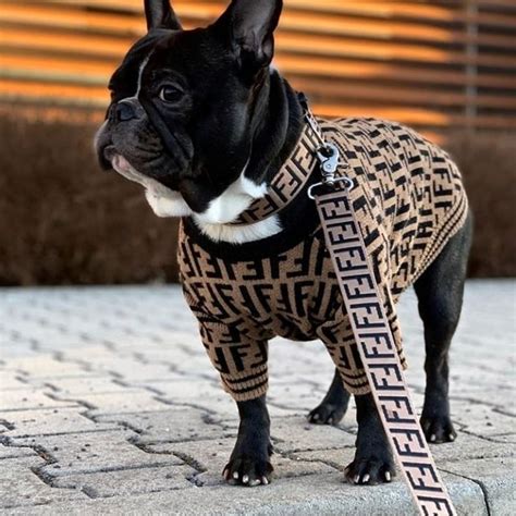 fendi dog harness and lead|Fendi Launches Pets Accessories Collection .